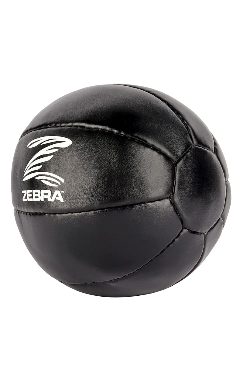 ZEBRA Medicinboll, läder, svart